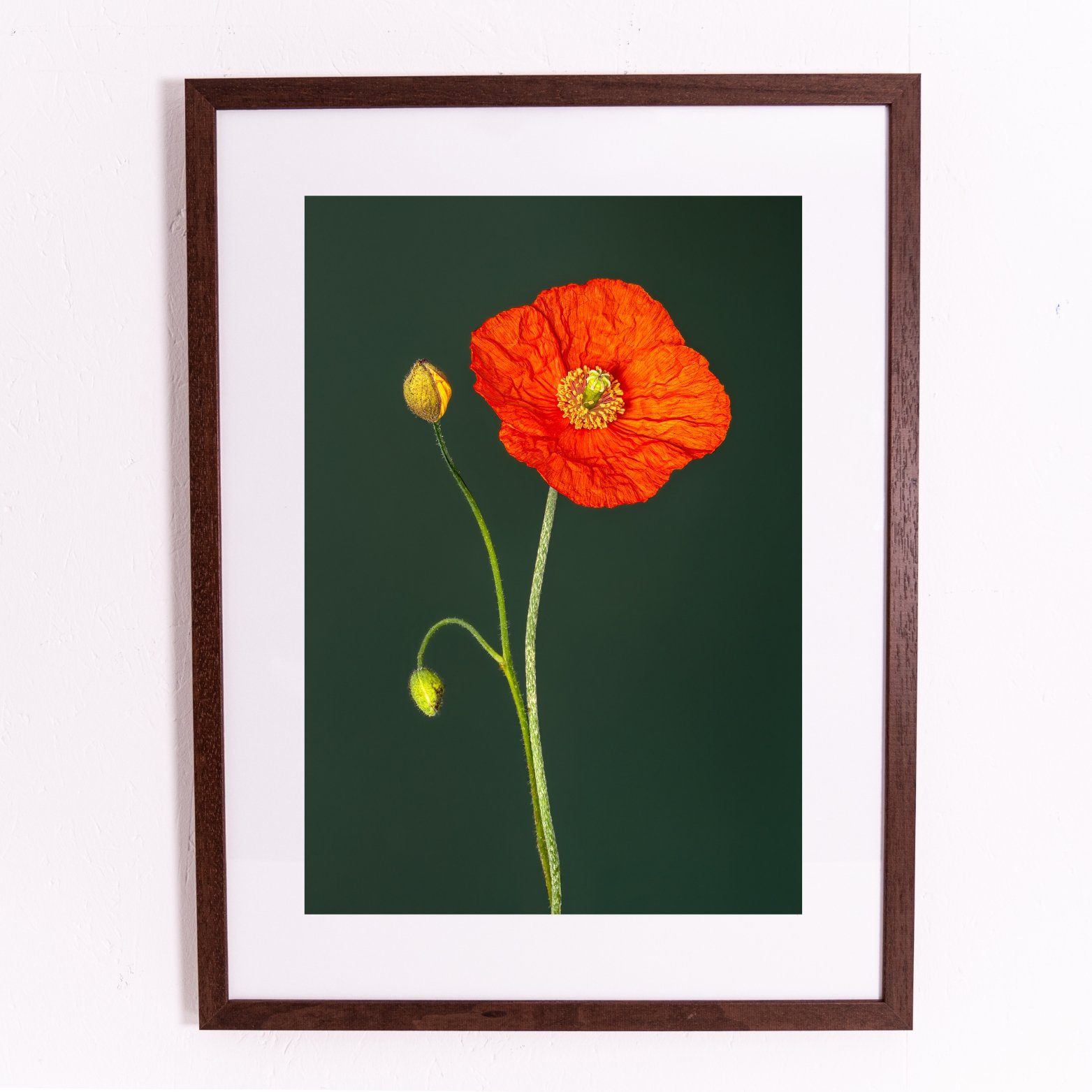 Miniature framed orints.jpg