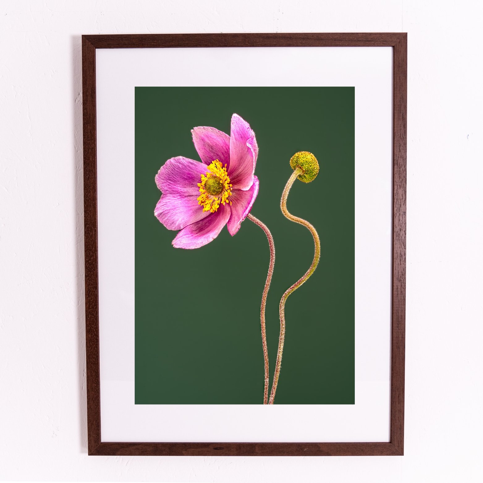 Miniature framed orints.jpg