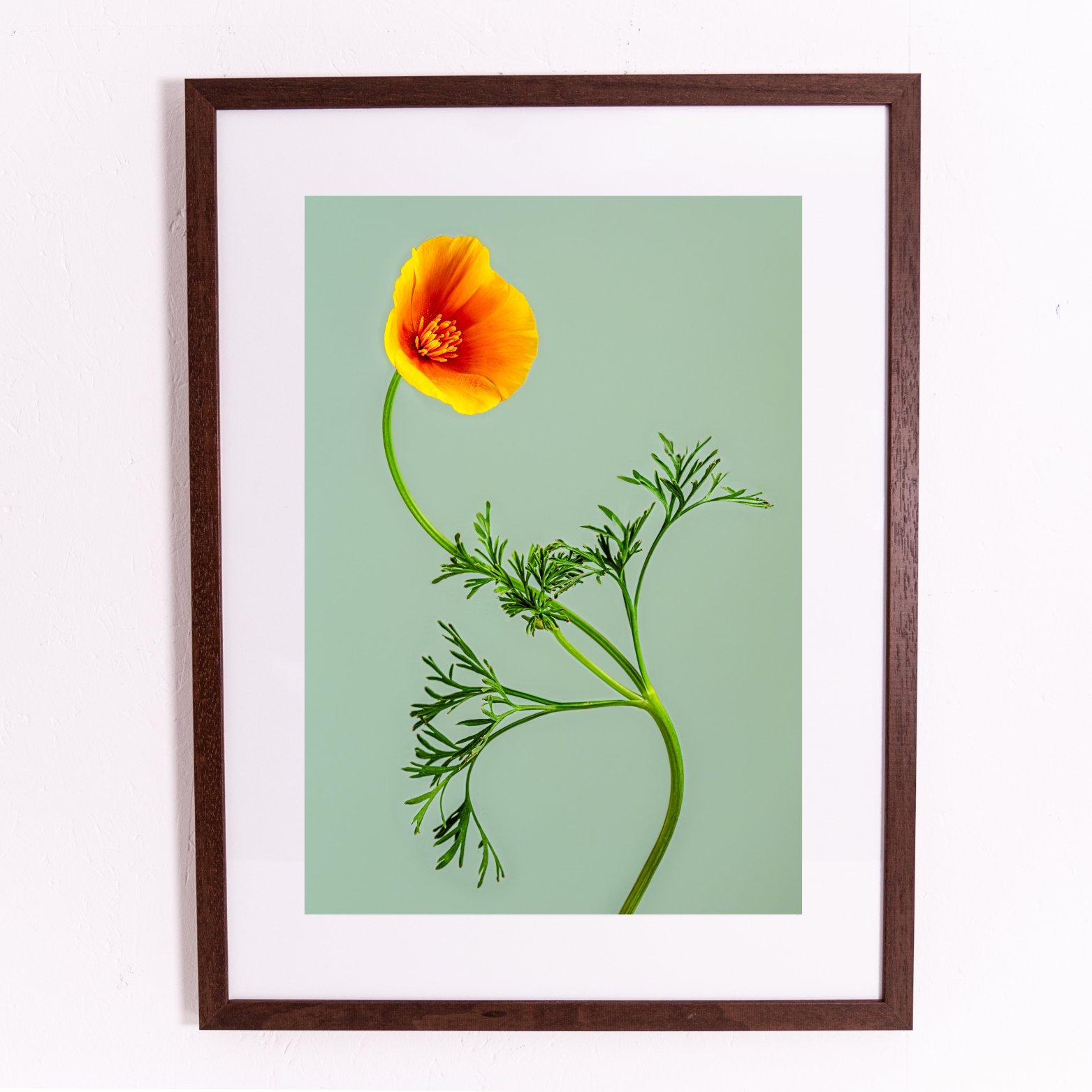 Miniature framed orints.jpg