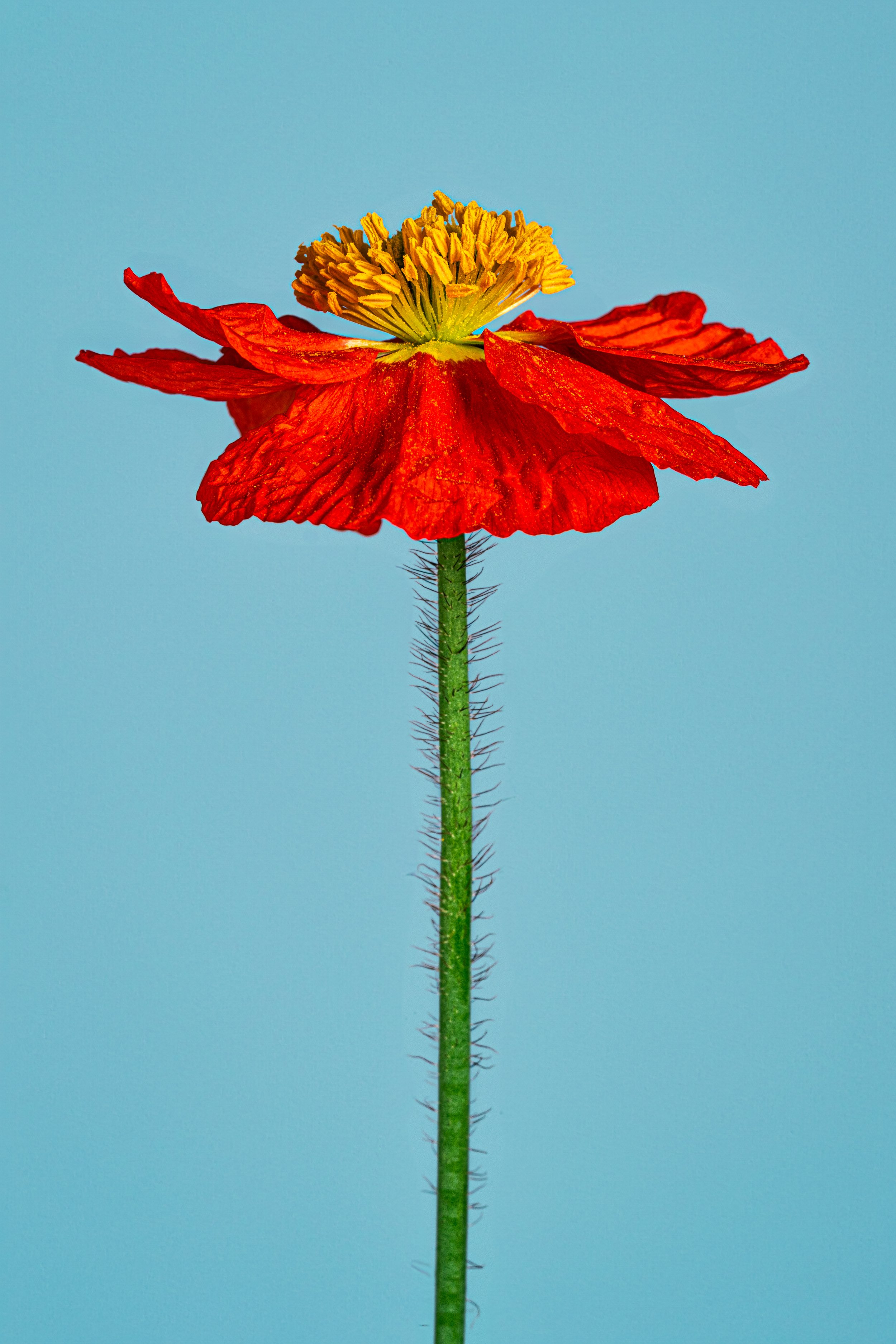 BUG08557.jpg