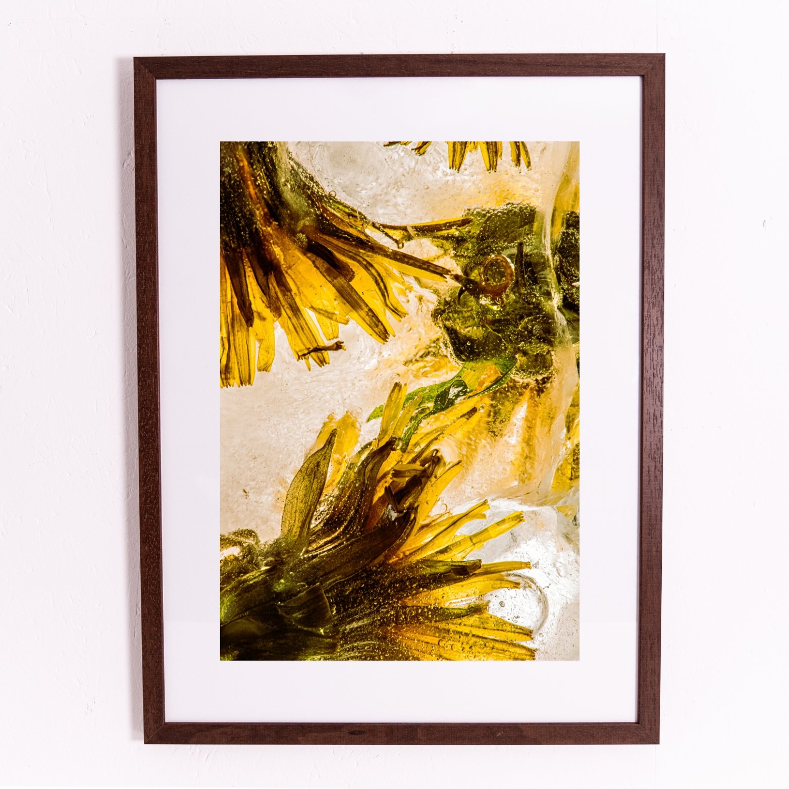 Miniature framed orints.jpg