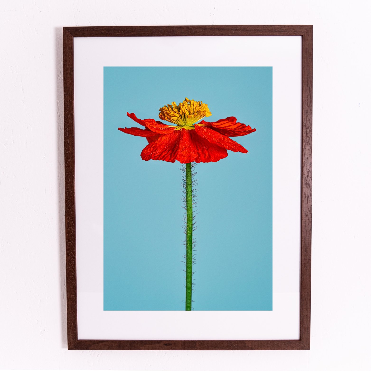 Miniature framed orints.jpg