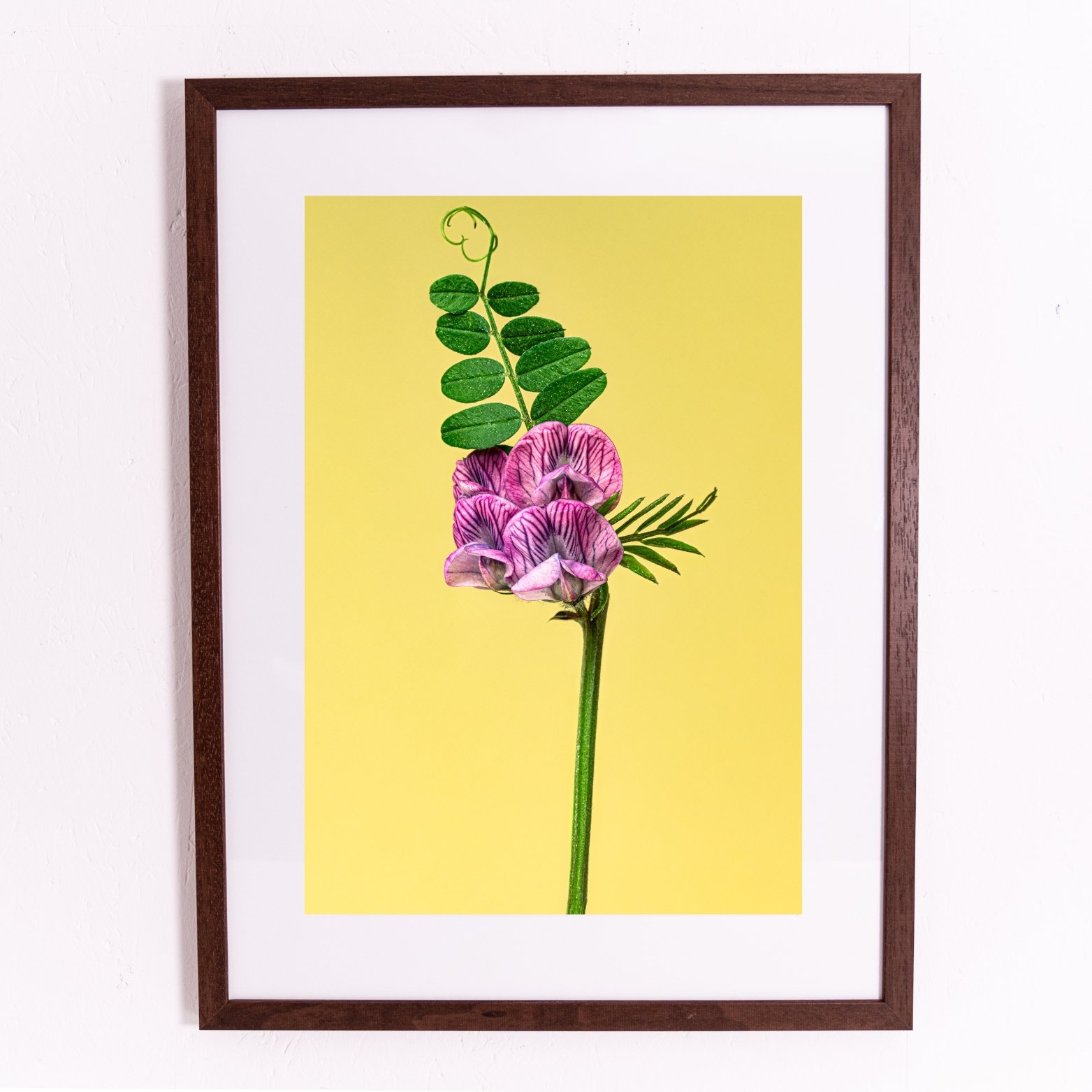 Miniature framed orints.jpg