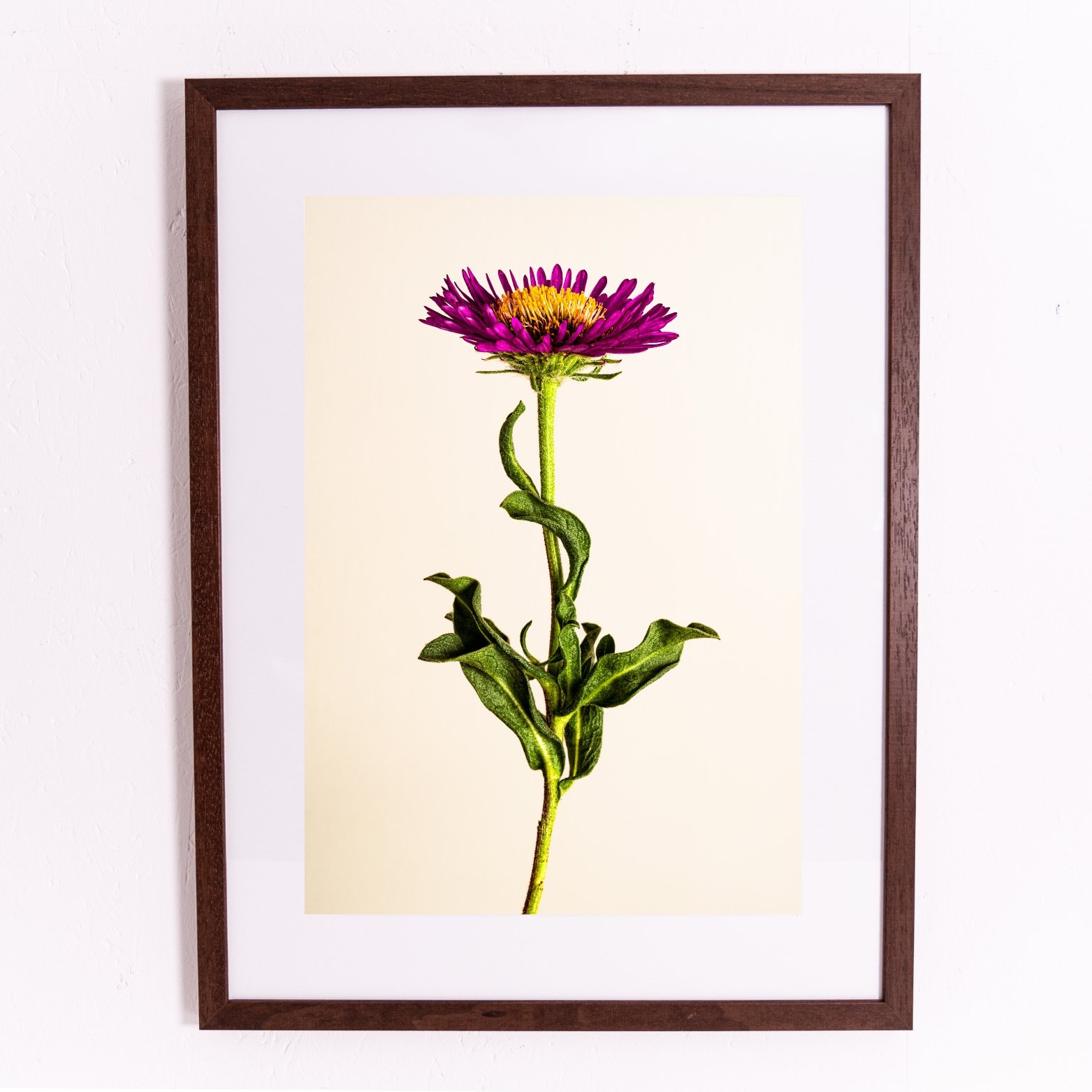 Miniature framed orints.jpg