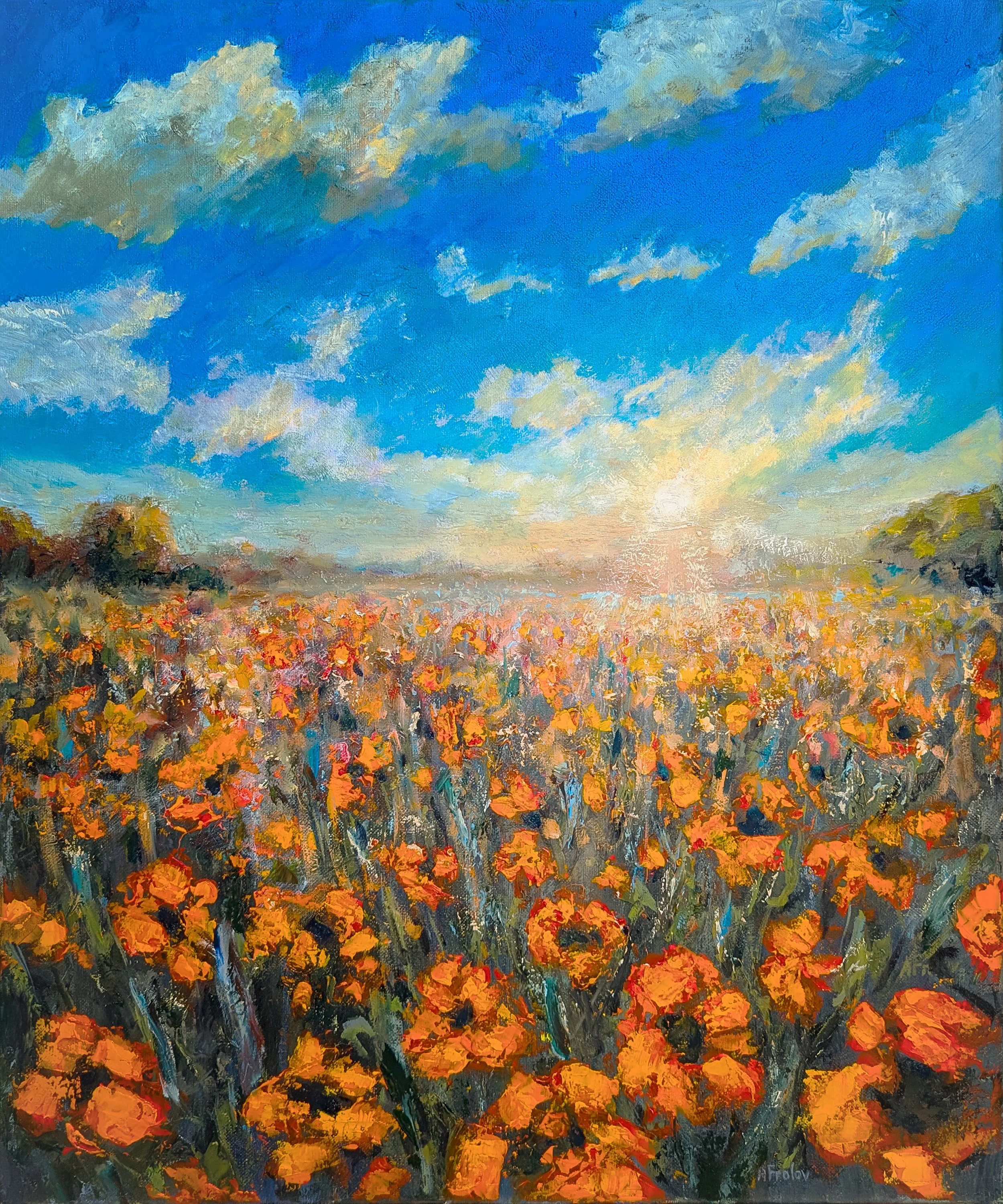 Poppy Field.jpg