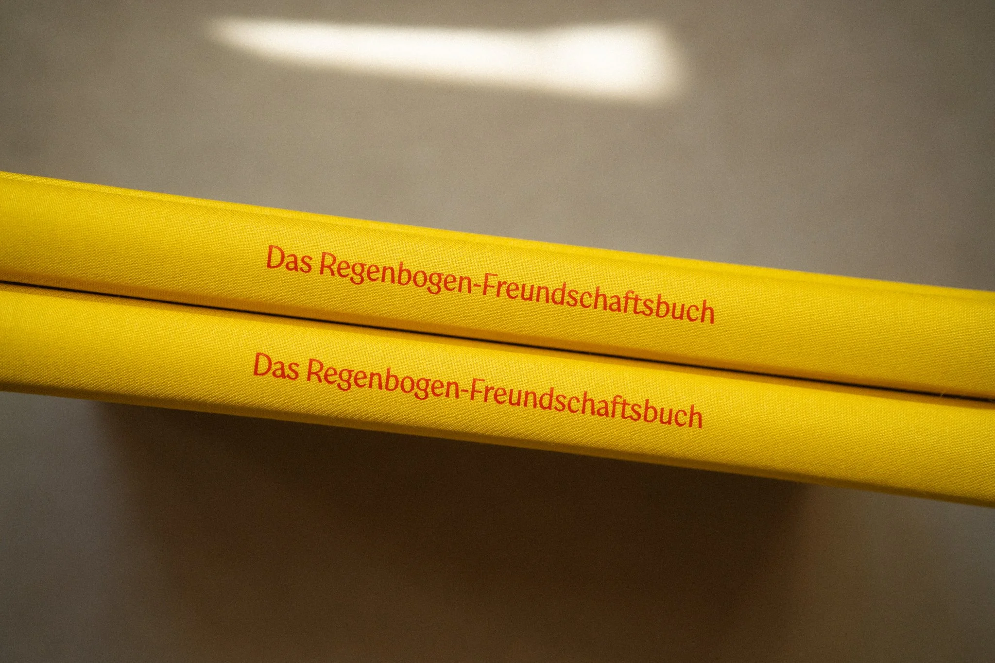 20260429_Regenbogenfreundschaftsbuch-18.jpg