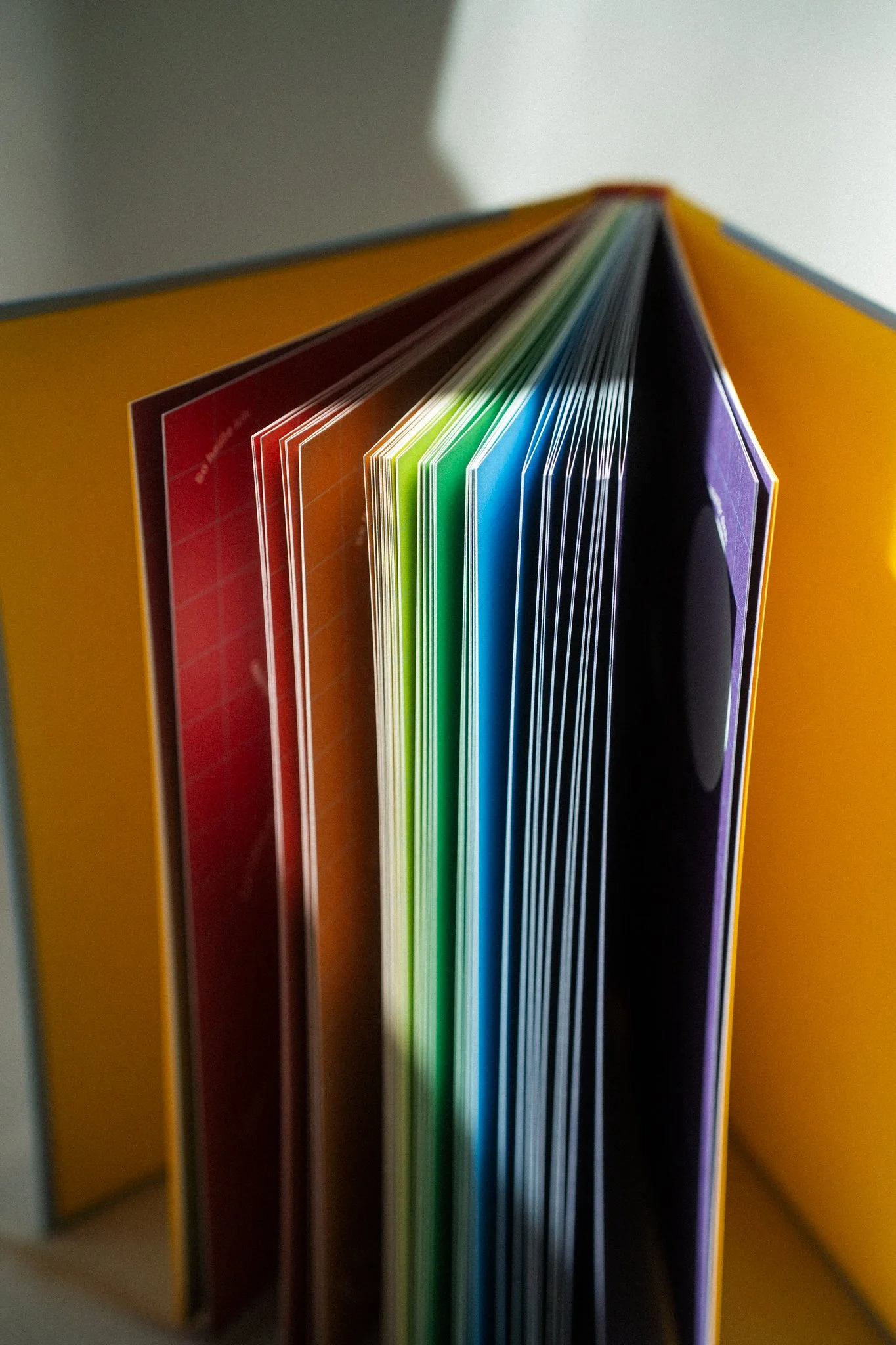 20260429_Regenbogenfreundschaftsbuch-24.jpg