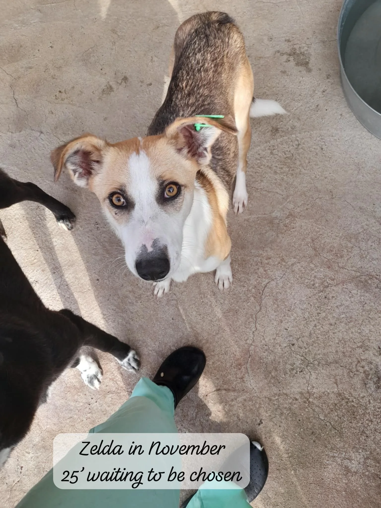 WhatsApp Image 2026-03-05 at 10.21.14.jpeg