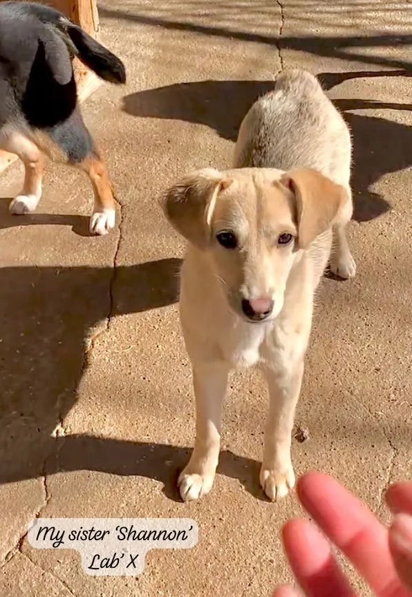 WhatsApp Image 2026-03-07 at 13.55.196.jpeg