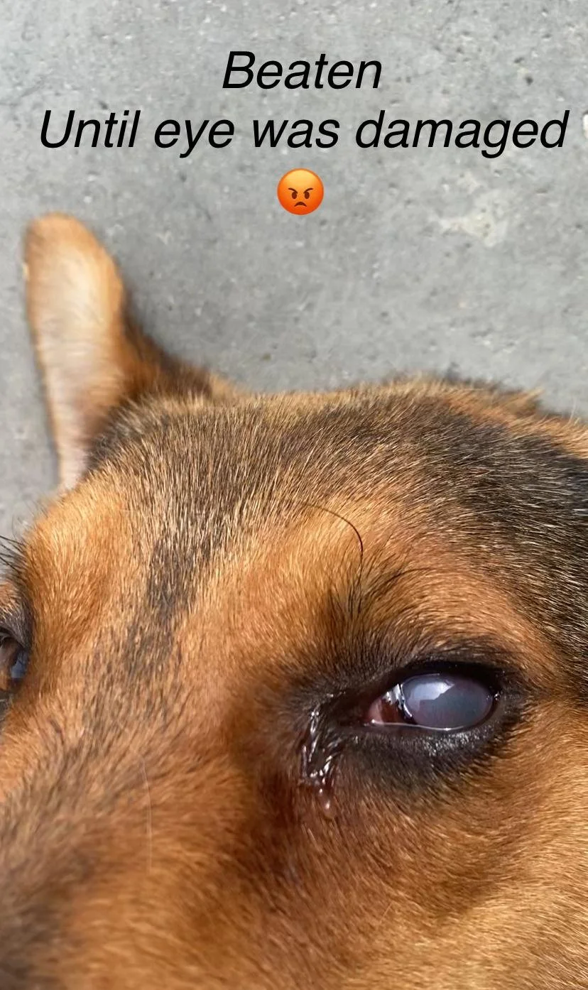 WhatsApp Image 2026-01-06 at 06.01..jpeg