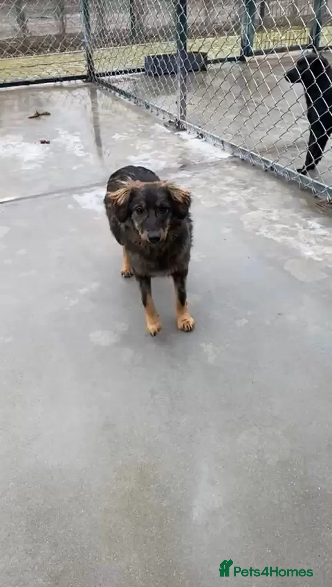 originalImage (6).webp