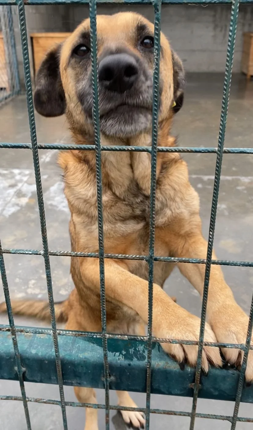 WhatsApp Image 2026-01-07 at 12.20.02.jpeg