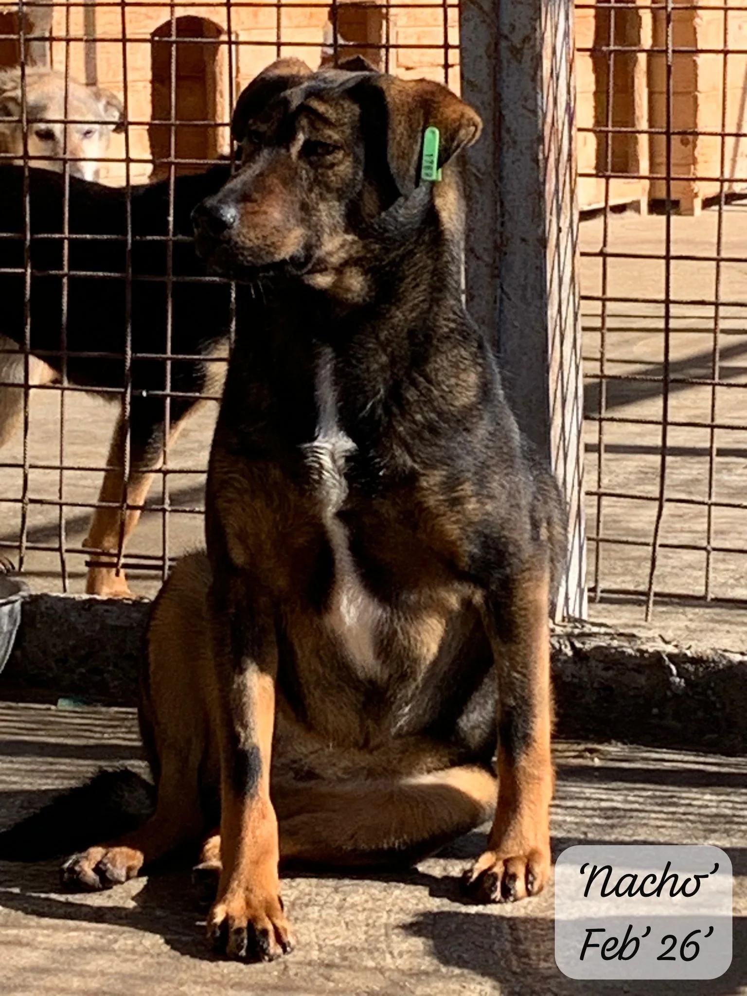 WhatsApp Image 2026-03-06 at 15.27.08 (2).jpeg