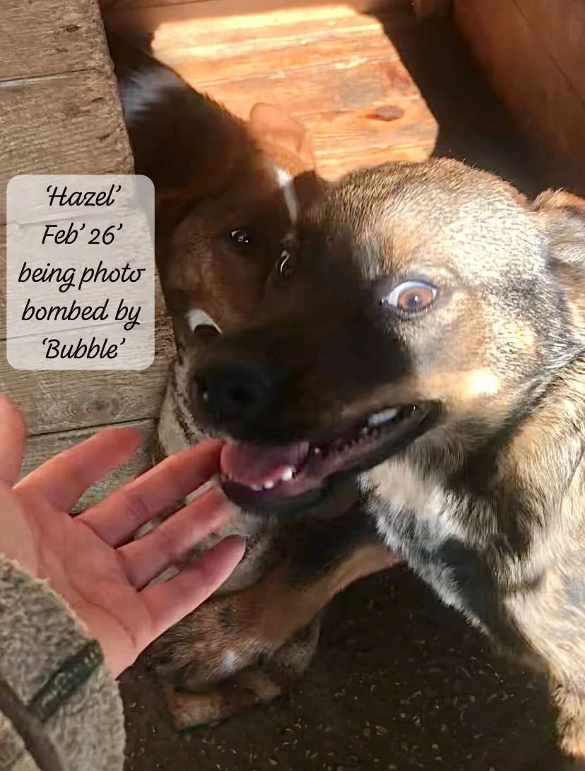 WhatsApp Image 2026-03-17 at 16.12.39 (1).jpeg