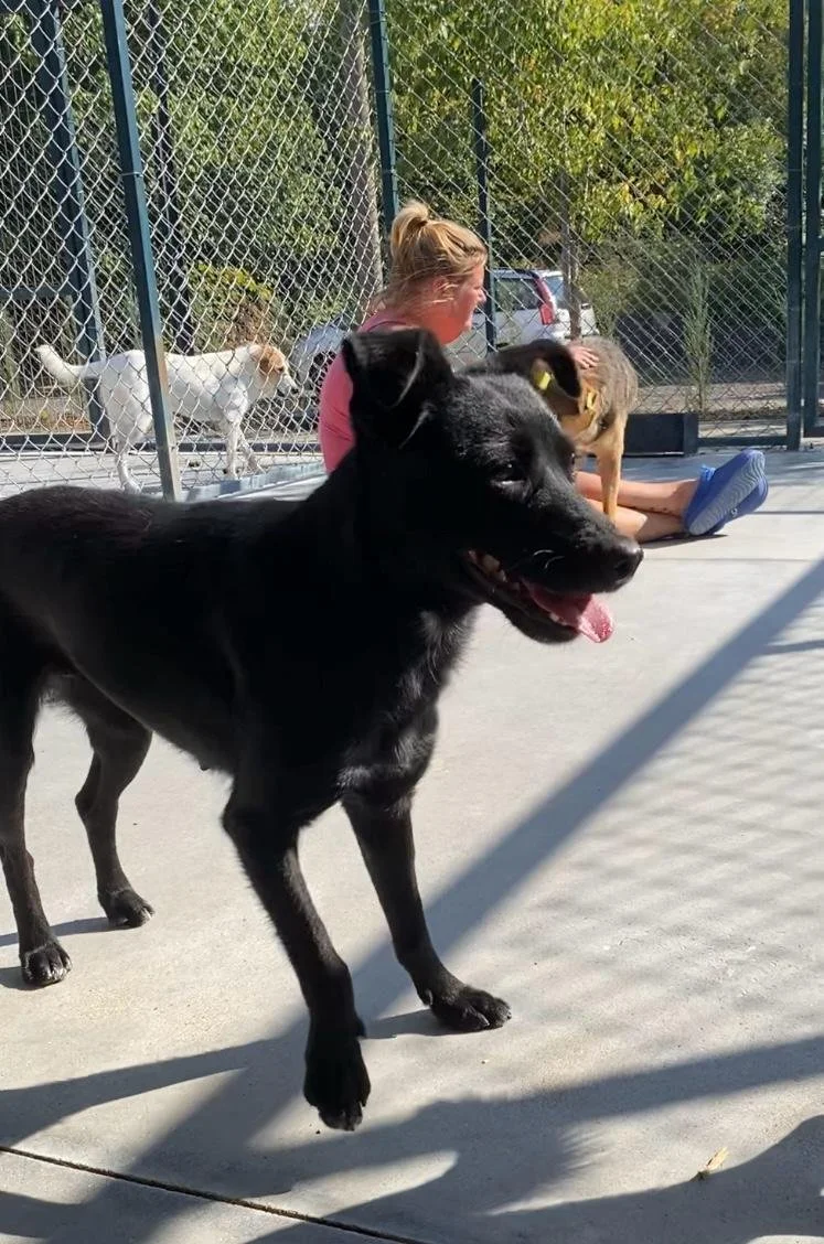 WhatsApp Image 2026-01-06 at 06.01.32.jpeg