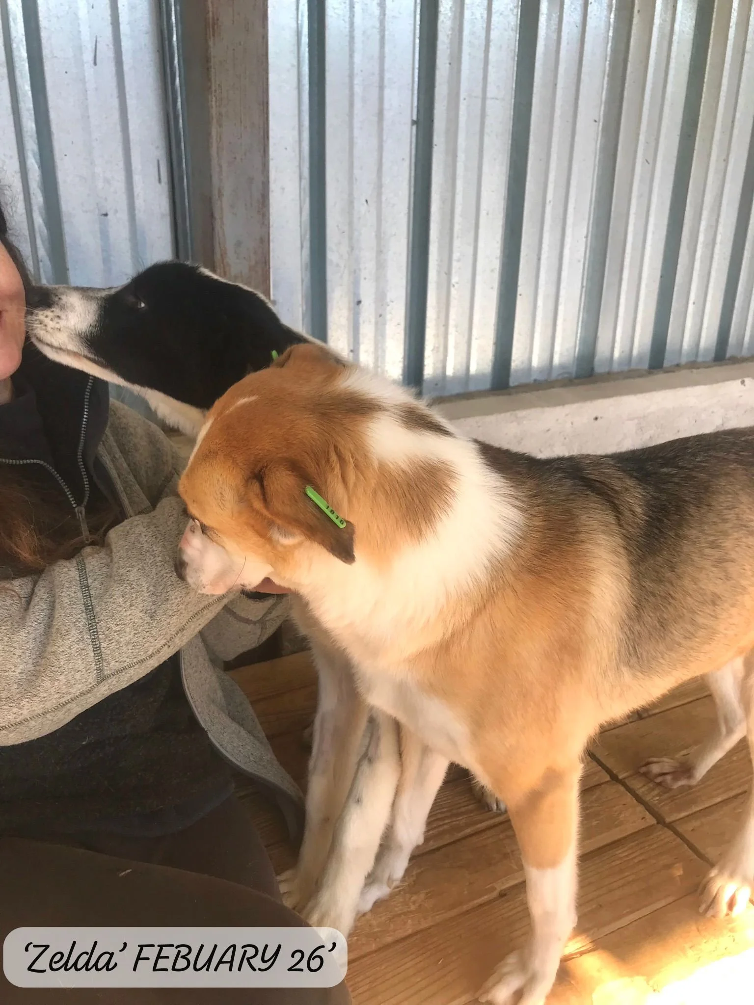 WhatsApp Image 2026-03-05 at 10.15.03 (1).jpeg