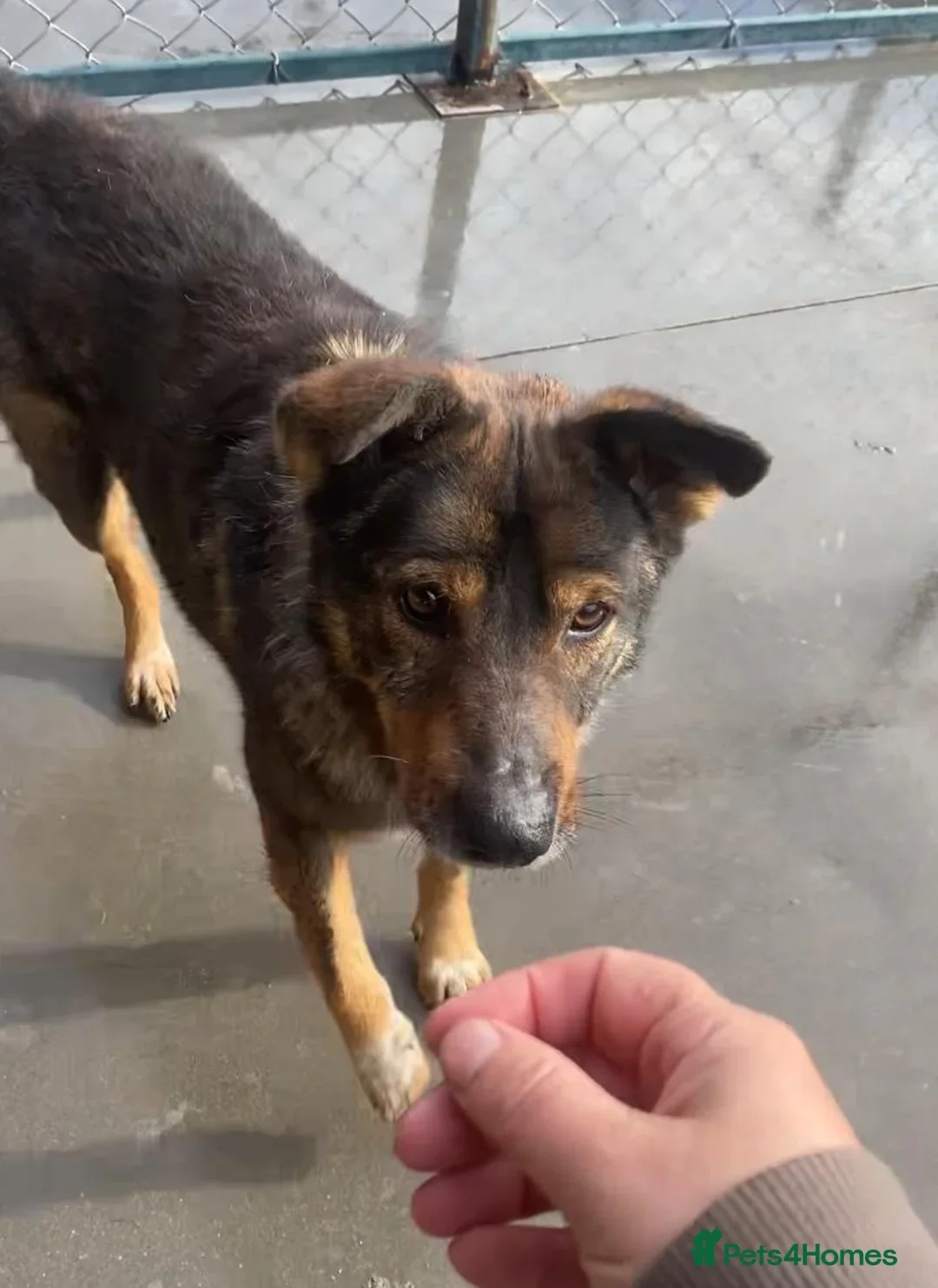 originalImage (1).webp