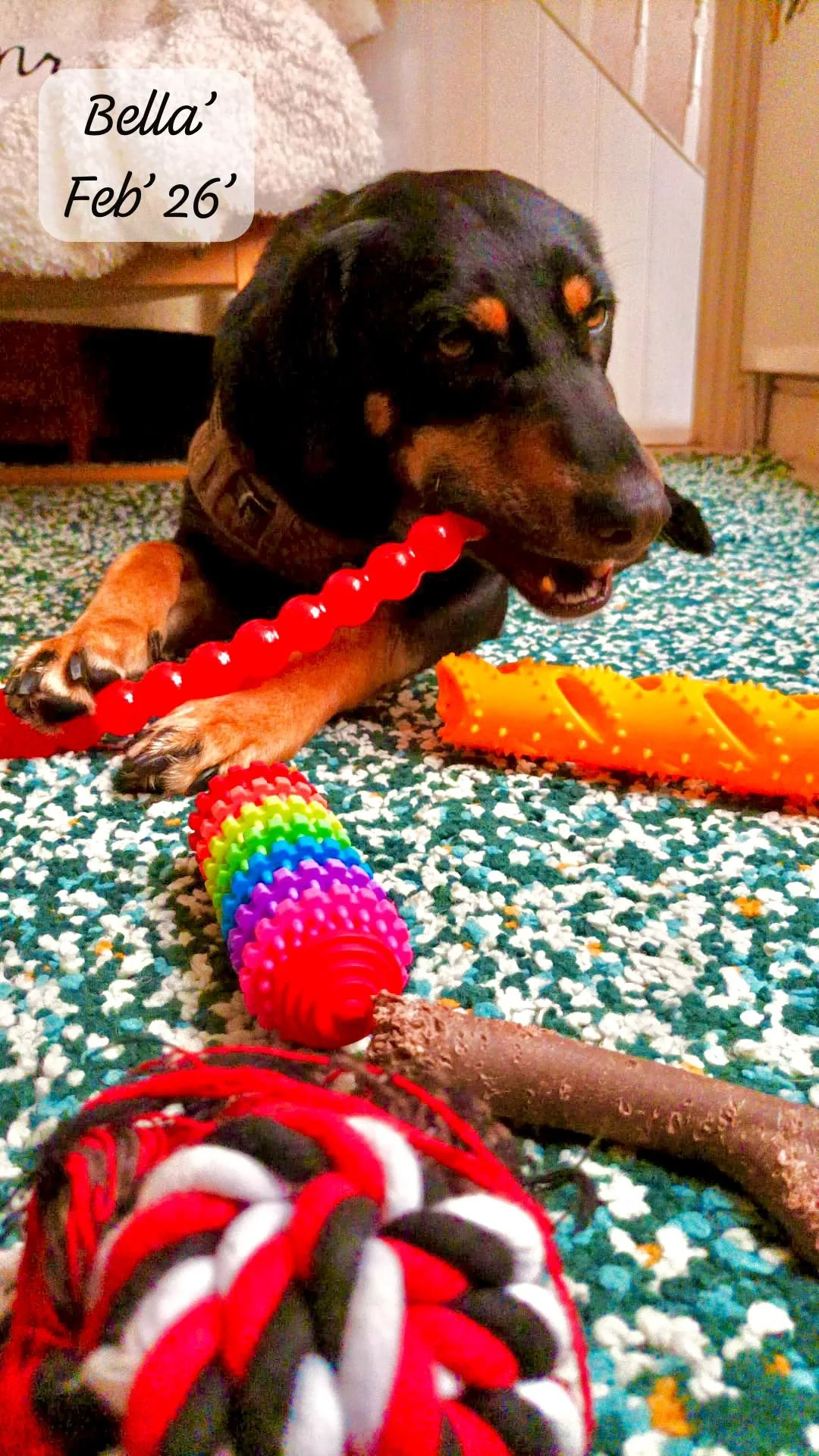 WhatsApp Image 2026-02-27 at 11.51.36.jpeg