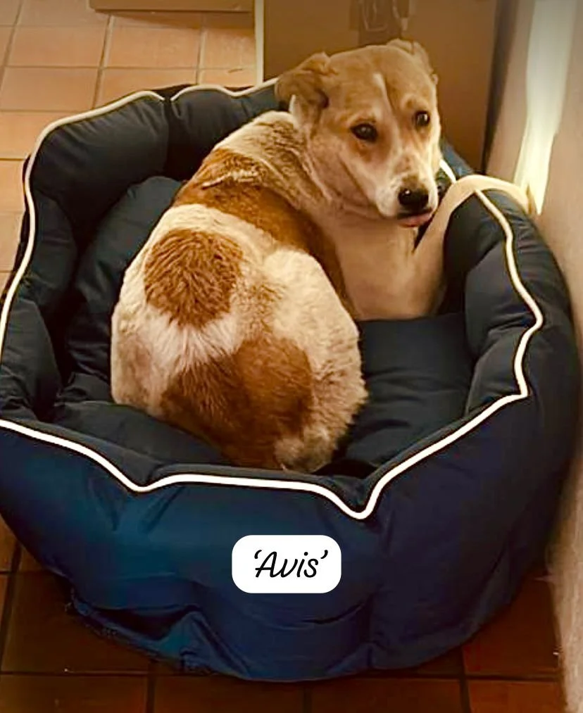 WhatsApp Image 2026-02-08 at 08.14.38.jpeg