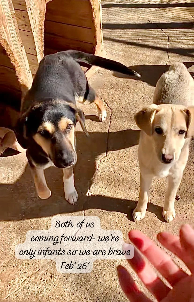 WhatsApp Image 2026-03-07 at 13.55.195.jpeg