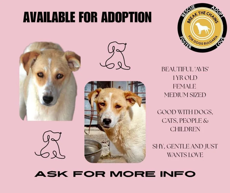 WhatsApp Image 2026-02-08 at 10.20.01.jpeg