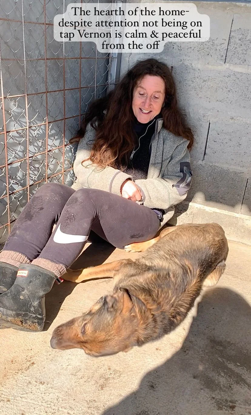 WhatsApp Image 2026-03-20 at 14.57.16.jpeg