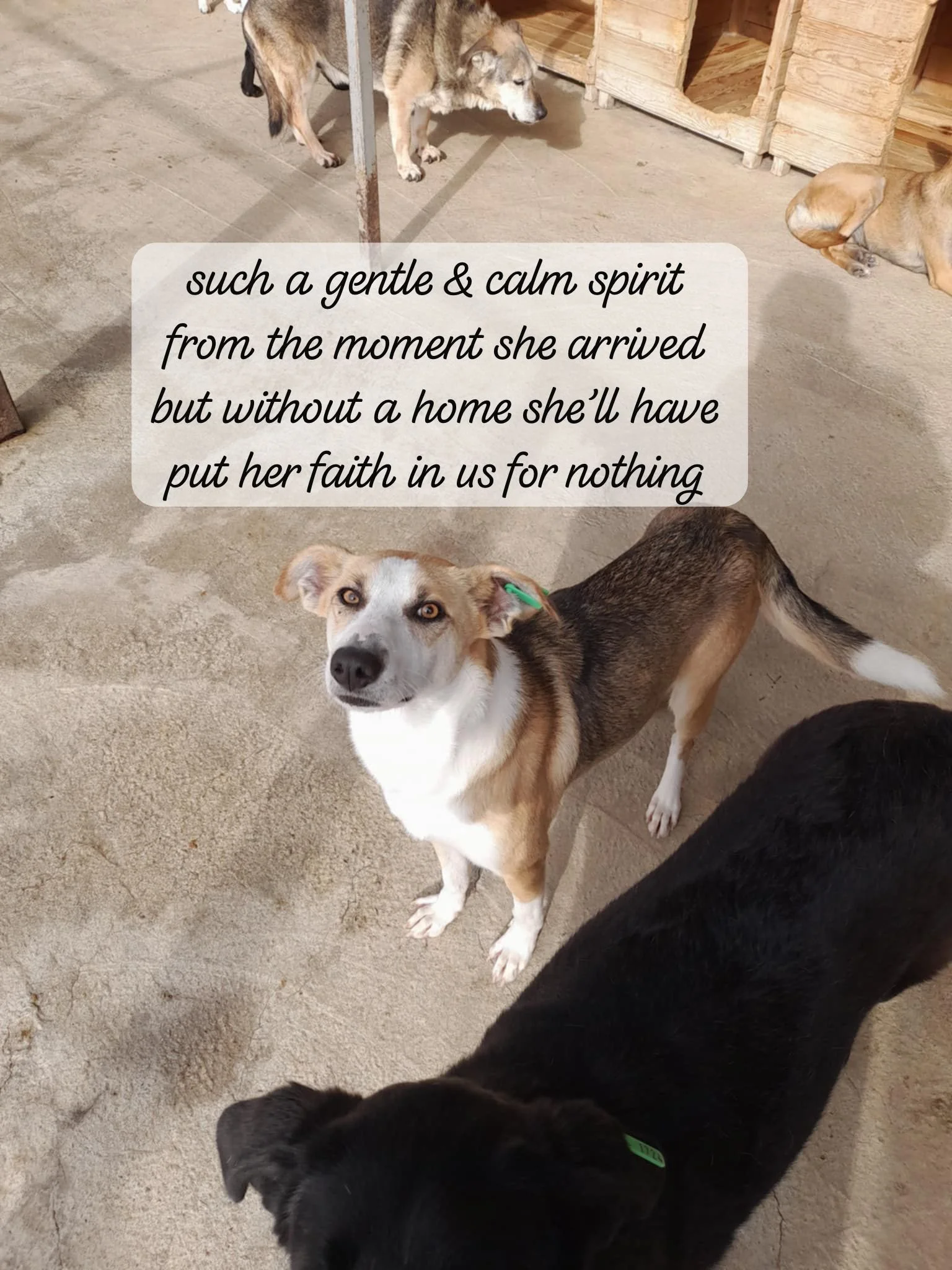 WhatsApp Image 2026-03-05 at 10.21.15.jpeg