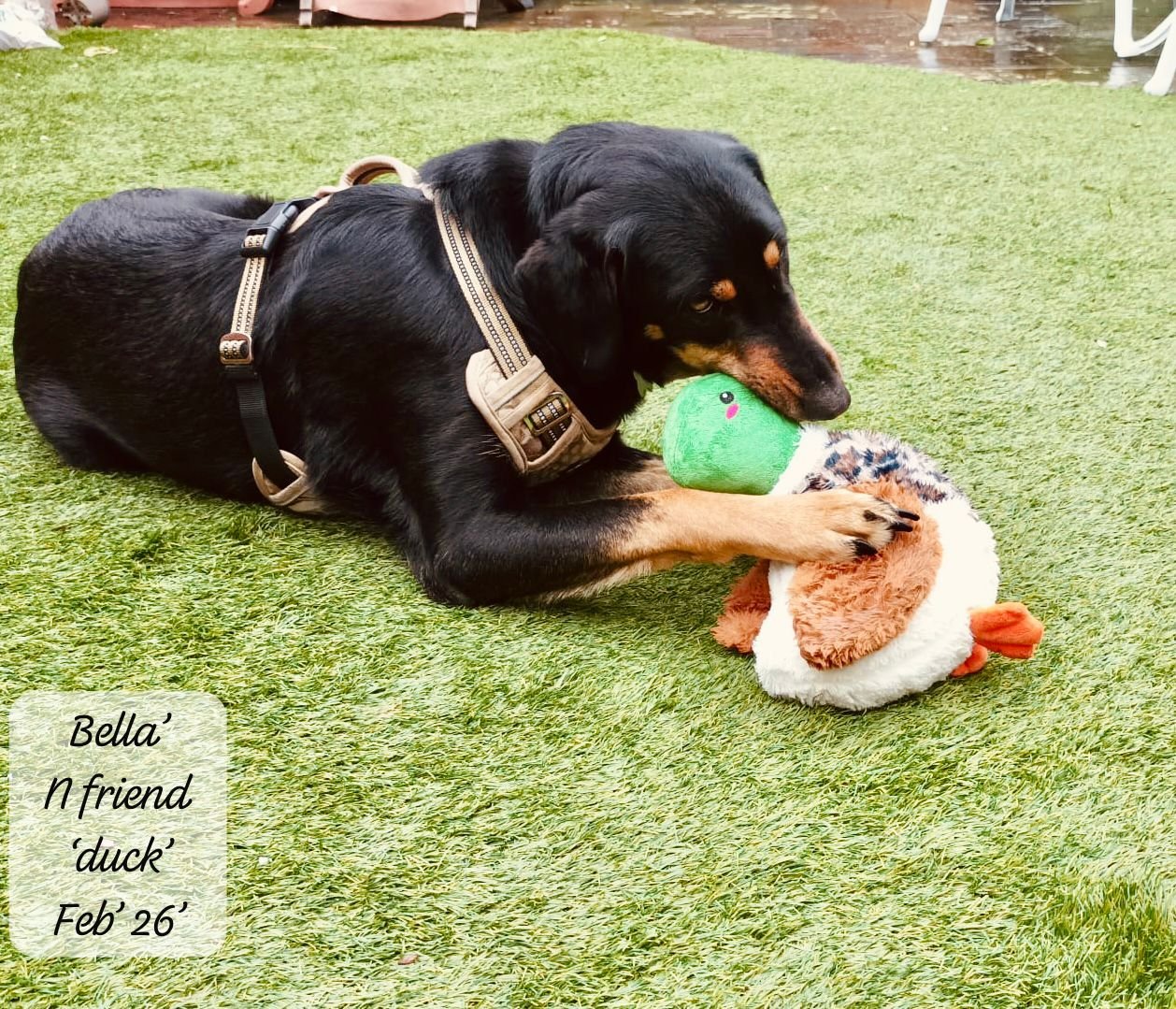 WhatsApp Image 2026-02-27 at 11.51.37 (2).jpeg