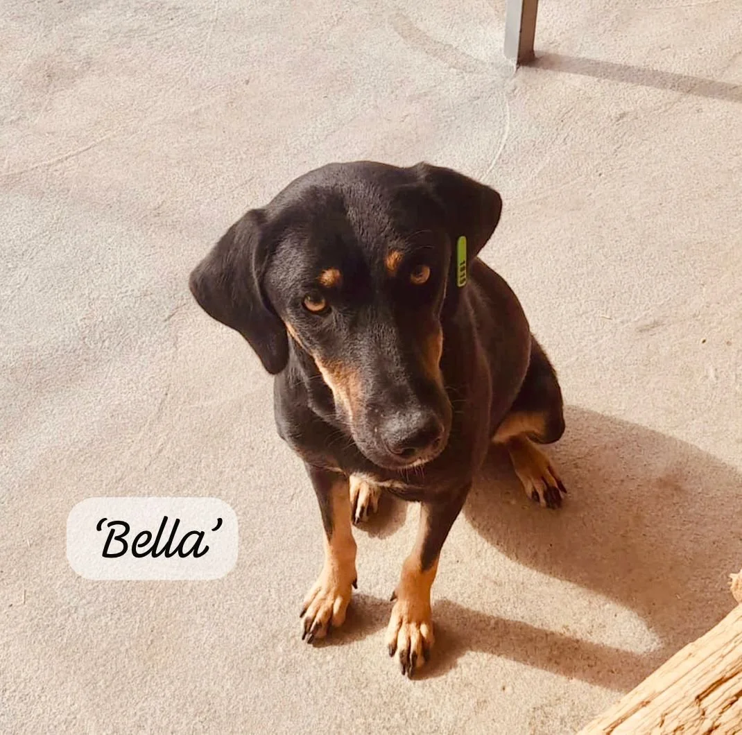 WhatsApp Image 2026-02-10 at 14.19.58 (3).jpeg