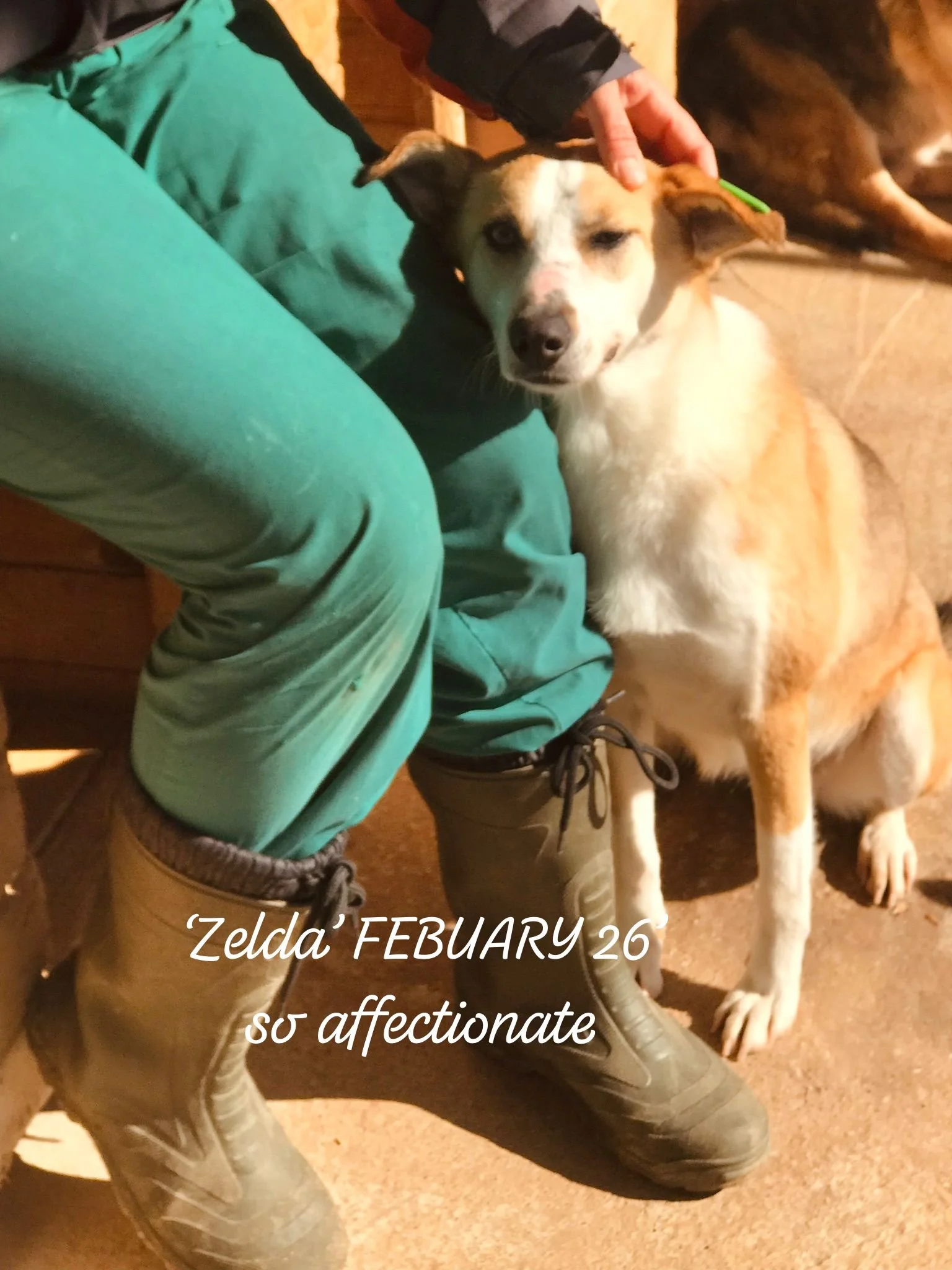 WhatsApp Image 2026-03-05 at 10.18.08 (1).jpeg