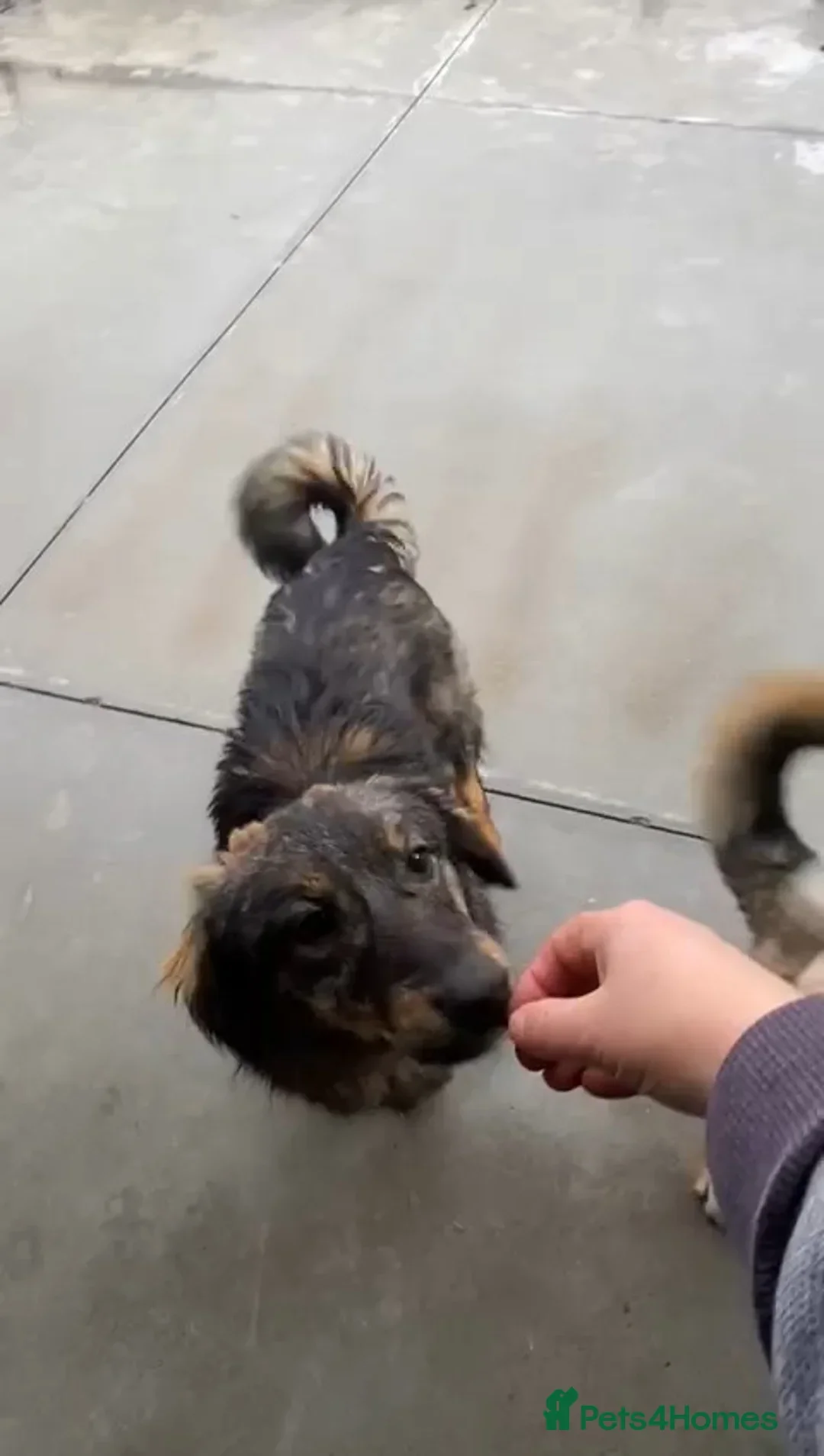 originalImage (3).webp