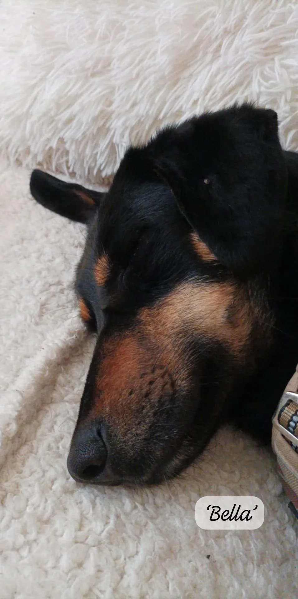 WhatsApp Image 2026-02-27 at 11.48.52 (2).jpeg