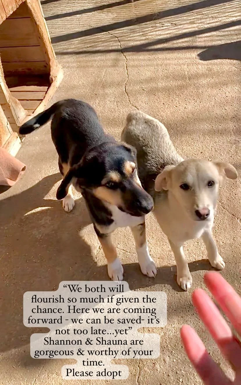 WhatsApp Image 2026-03-07 at 13.58.157.jpeg