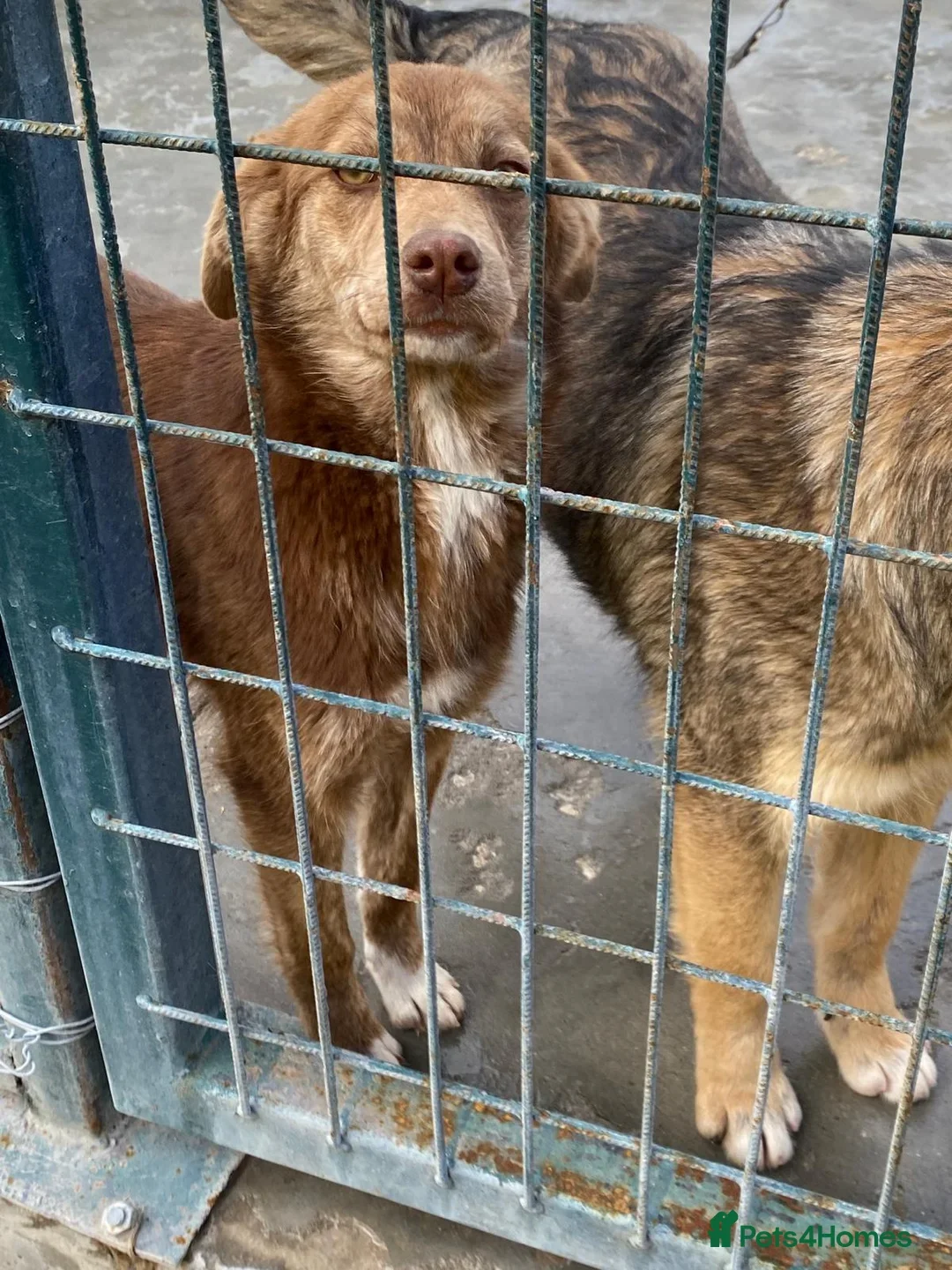 originalImage (5).webp