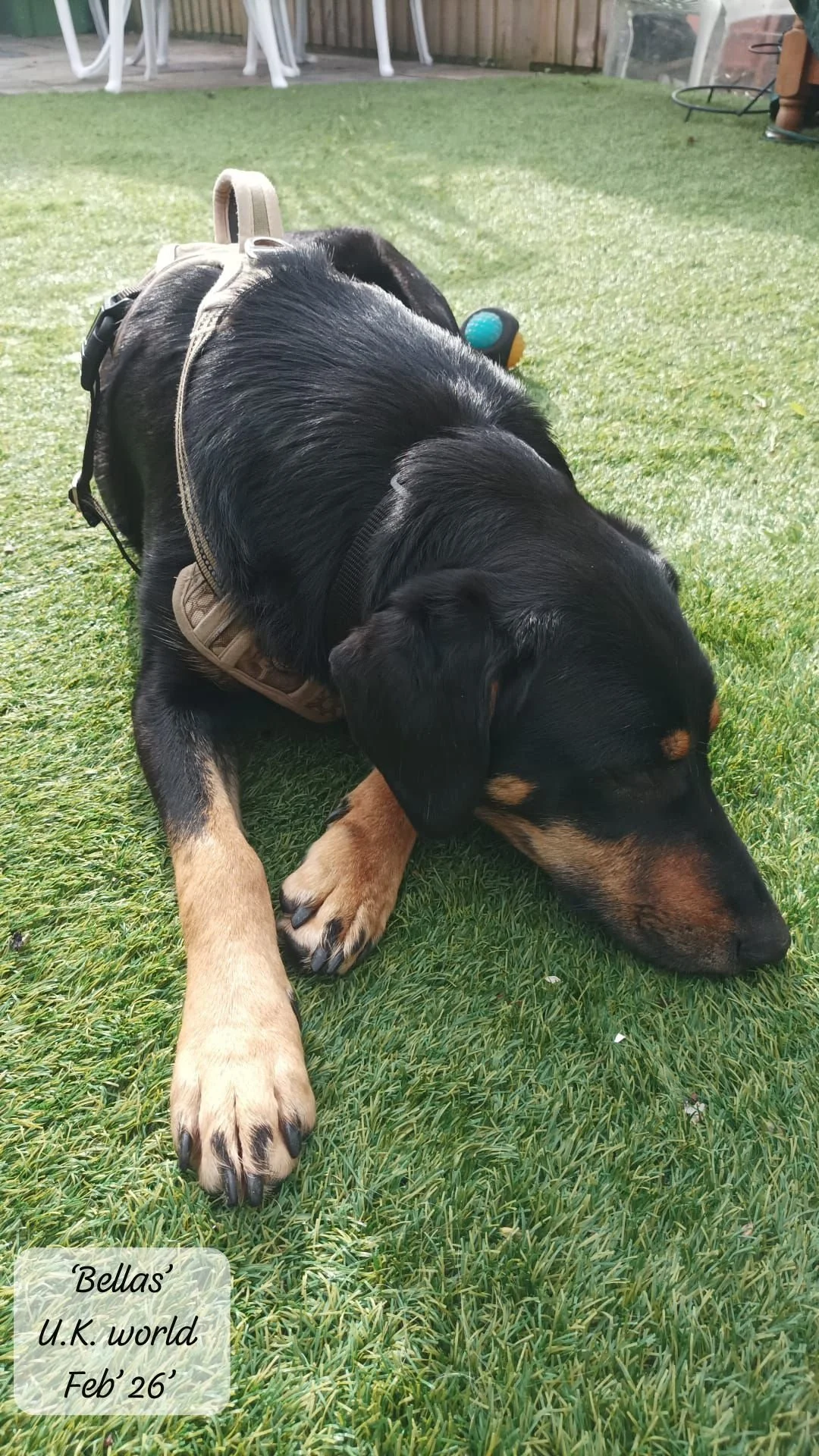 WhatsApp Image 2026-02-27 at 11.51.35.jpeg