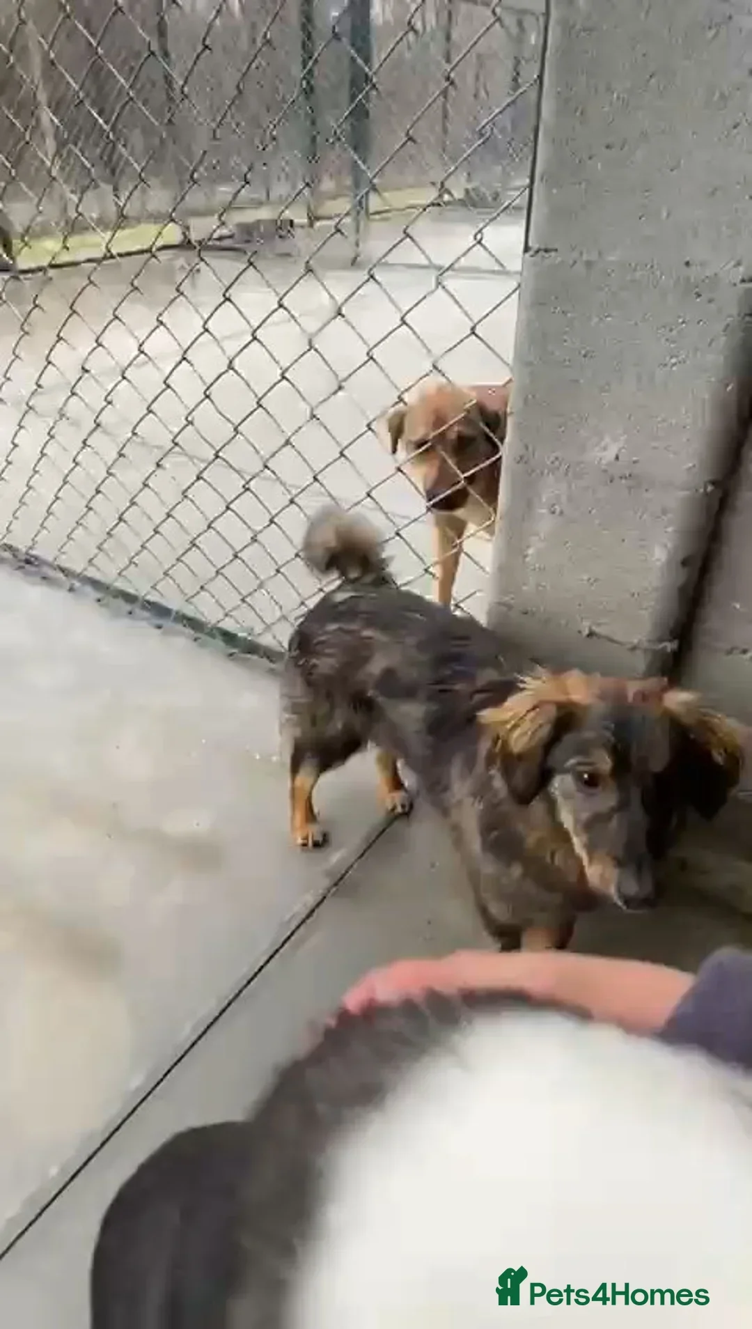 originalImage (5).webp