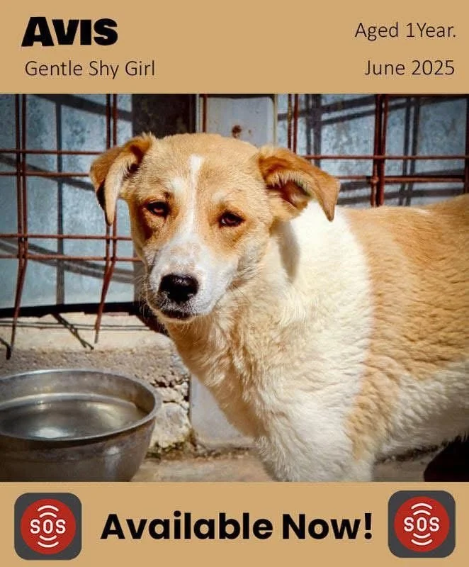 WhatsApp Image 2026-02-08 at 10.20.00 (2).jpeg