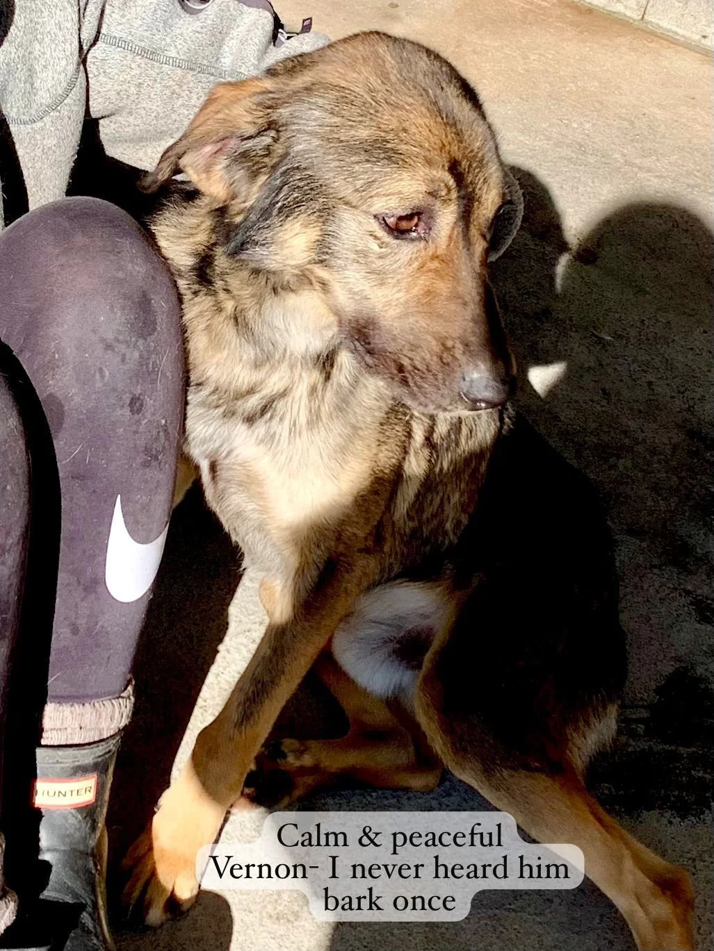 WhatsApp Image 2026-03-20 at 14.37.25.jpeg