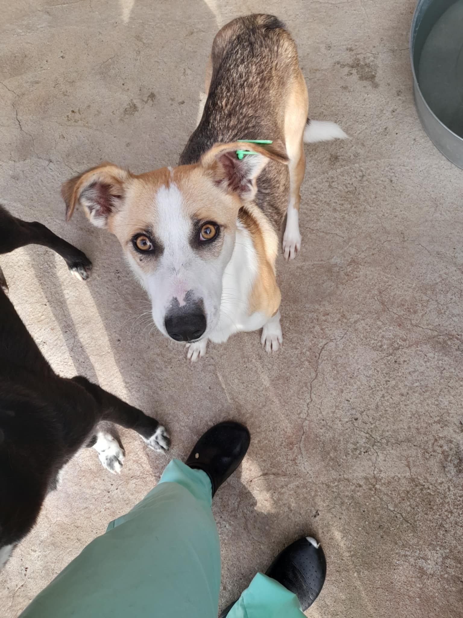 WhatsApp Image 2026-01-08 at 07.57.04.jpeg