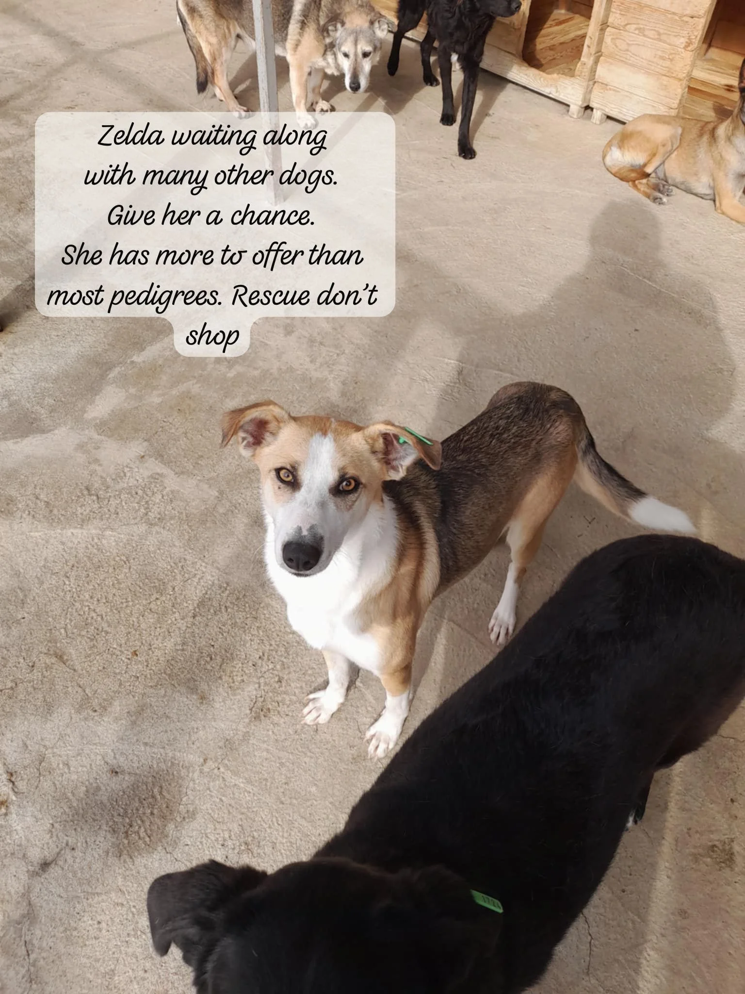 WhatsApp Image 2026-03-05 at 10.21.15 (1).jpeg