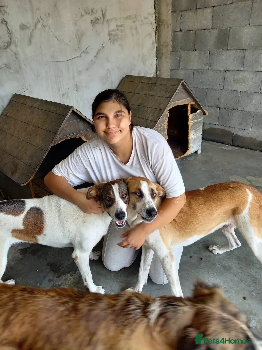 originalImage (3).webp