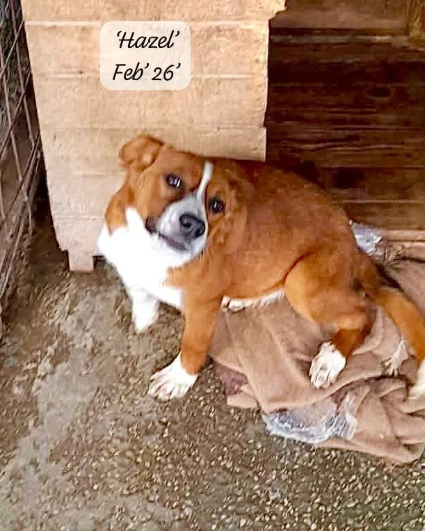 WhatsApp Image 2026-03-17 at 16.08.48 (3).jpeg