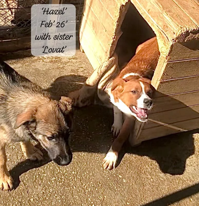 WhatsApp Image 2026-03-17 at 16.08.50.jpeg