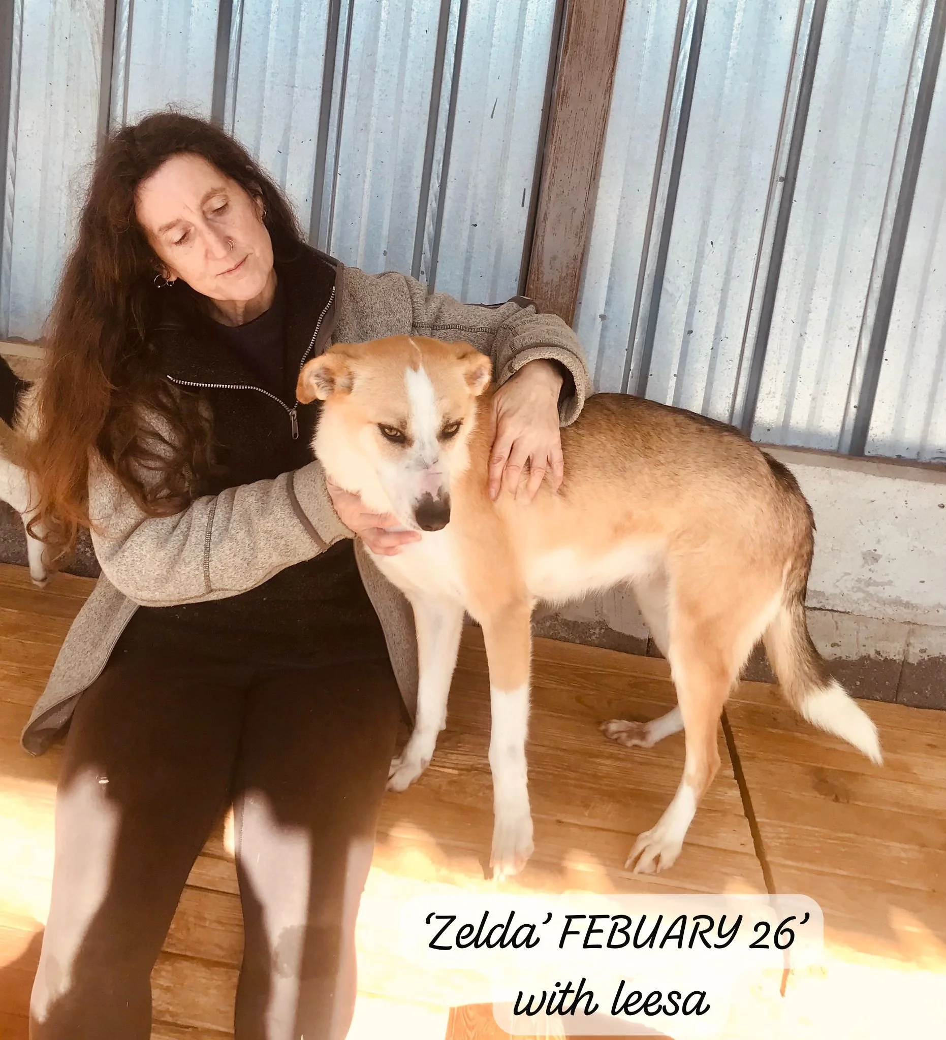 WhatsApp Image 2026-03-05 at 10.15.04.jpeg