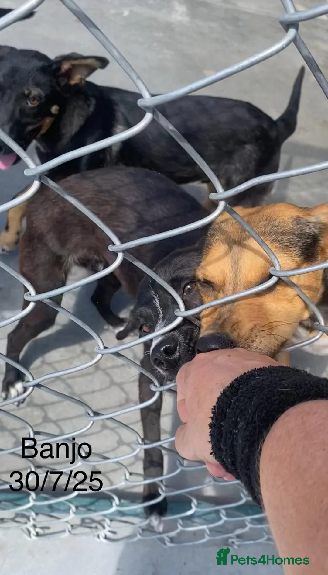 originalImage (17).webp