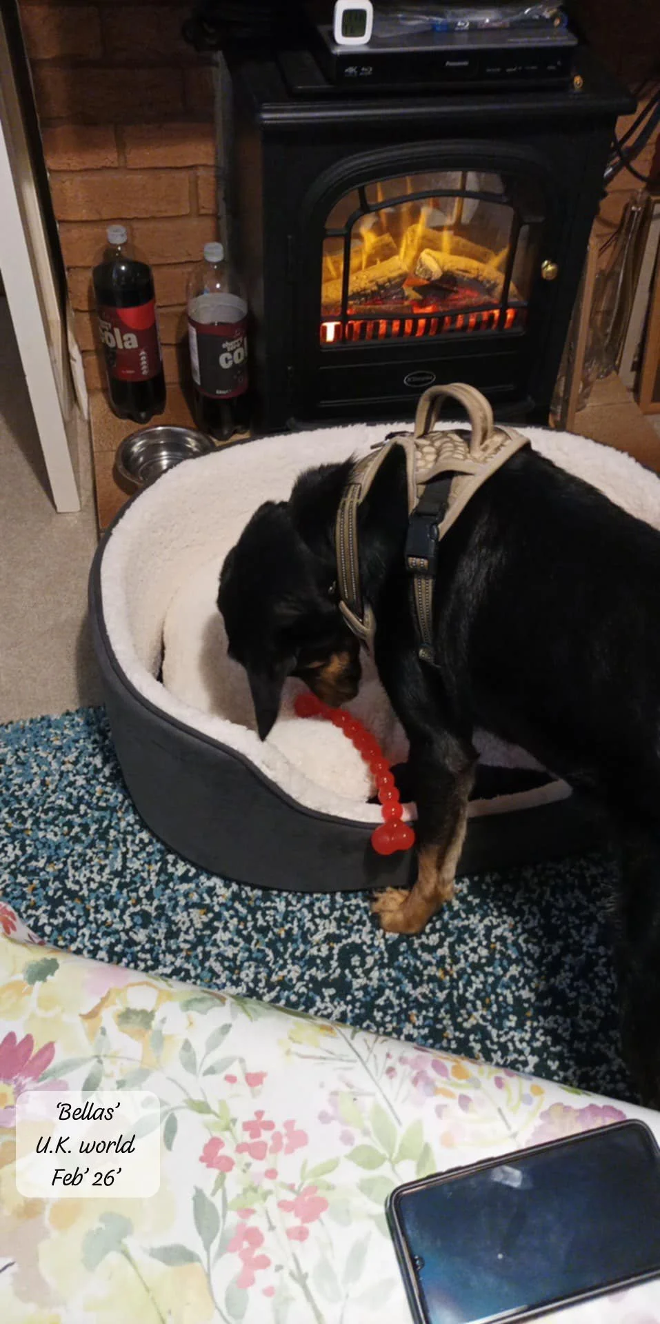 WhatsApp Image 2026-02-27 at 11.48.53 (1).jpeg