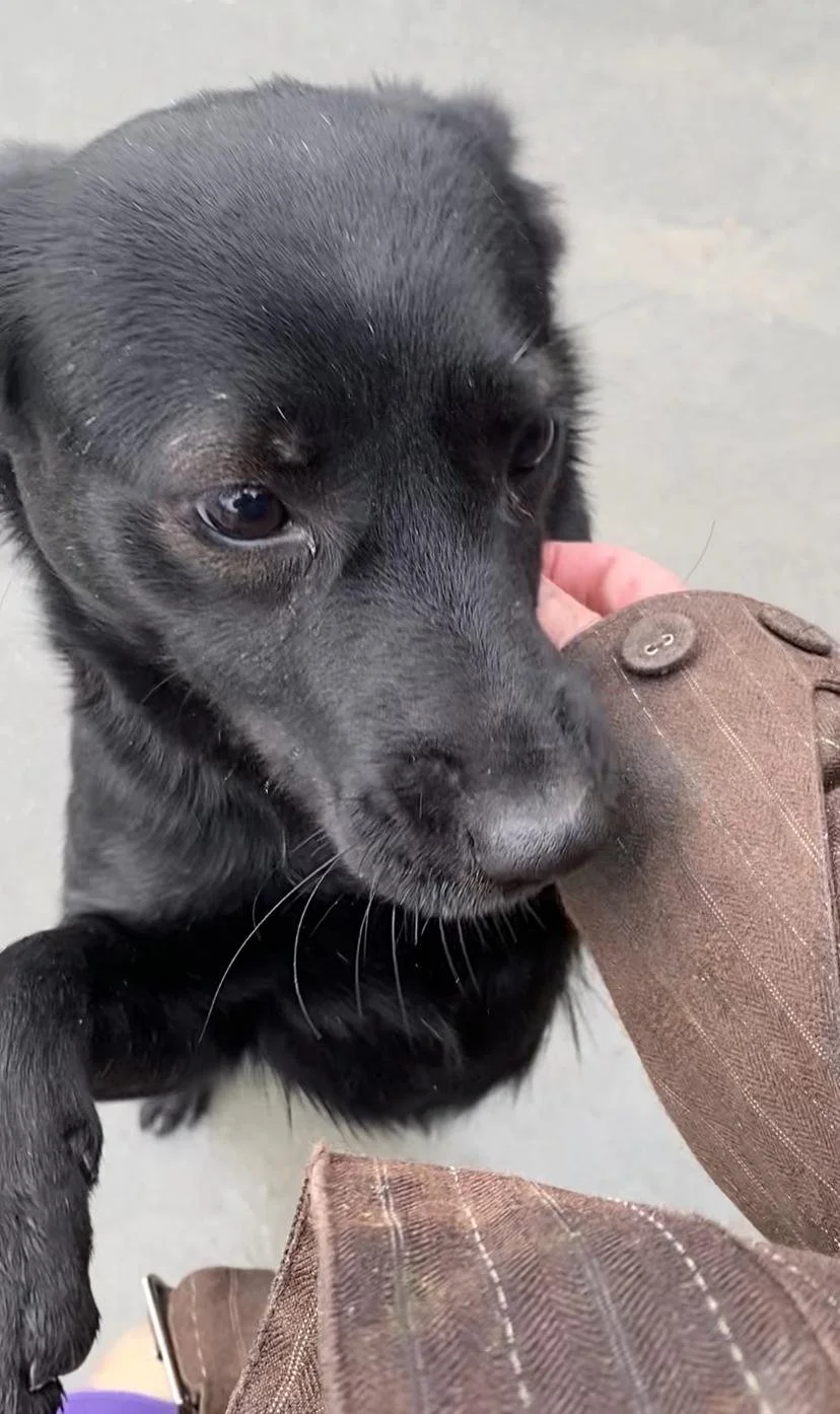 WhatsApp Image 2026-01-06 at 06.02.29.jpeg