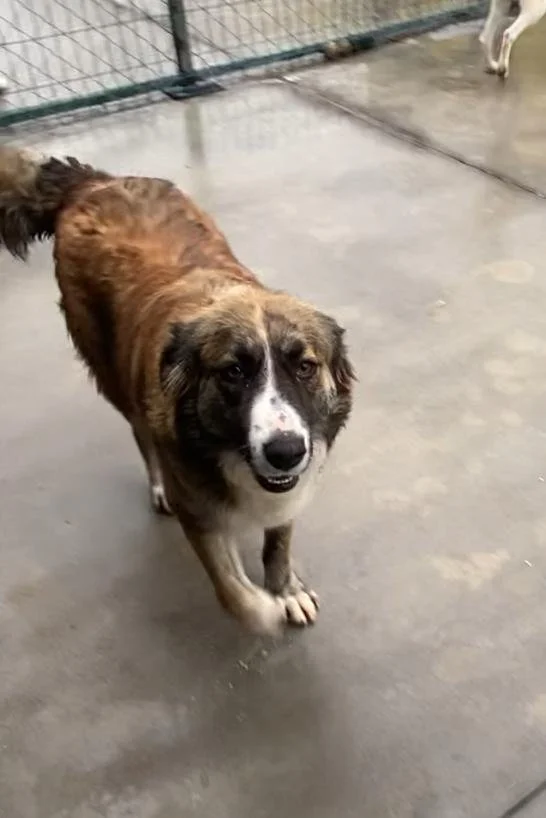 WhatsApp Image 2026-01-07 at 12.17.21.jpeg