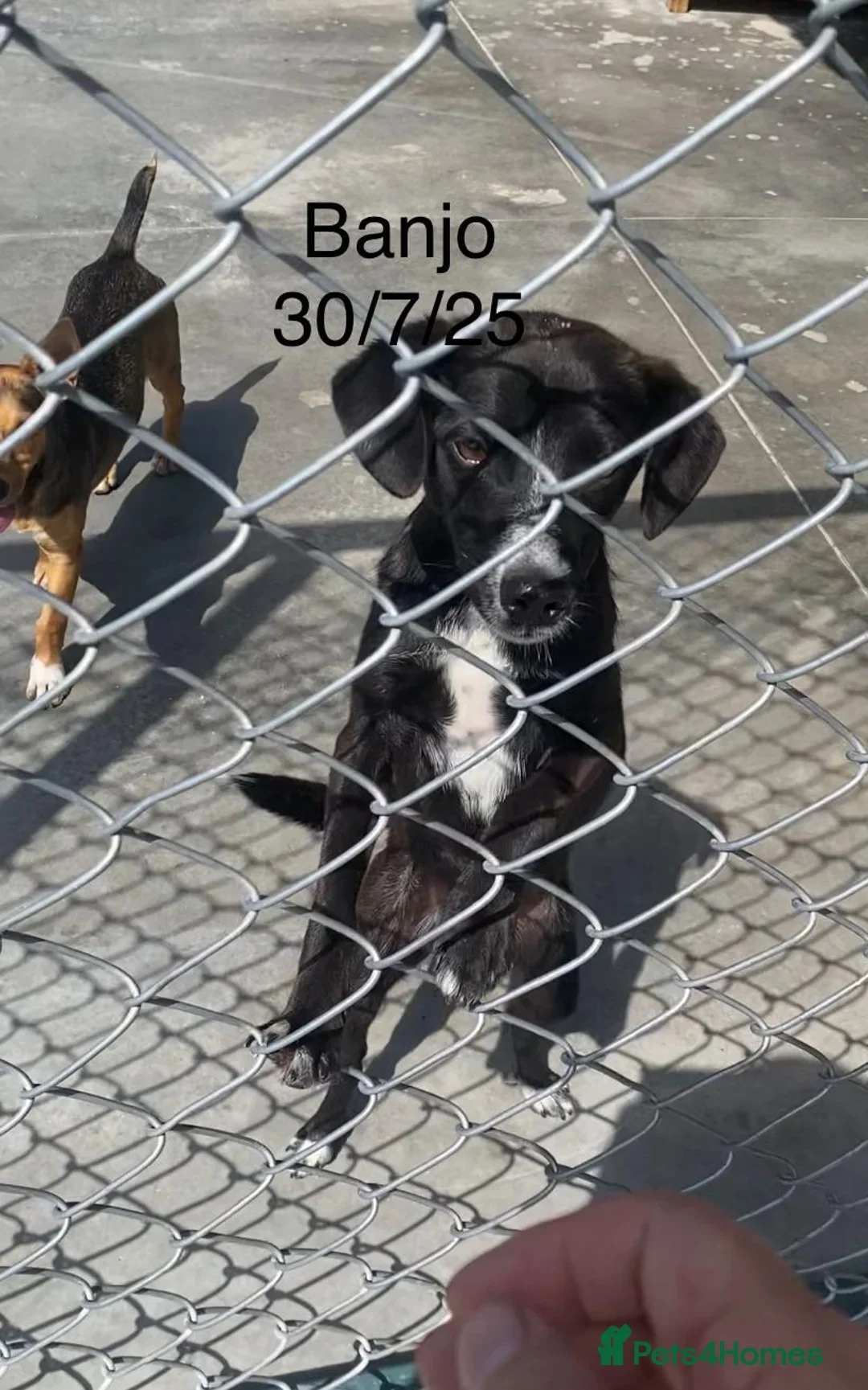 originalImage (19).webp