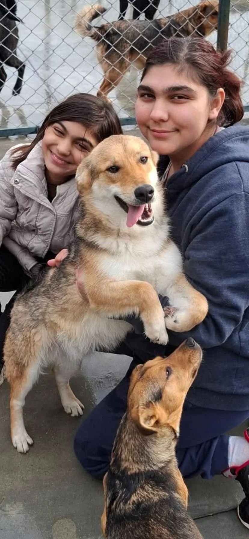 WhatsApp Image 2026-01-15 at 05.46.05.jpeg